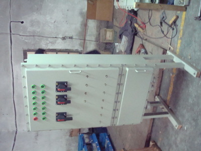 【恒安專業(yè)銷售防爆不銹鋼接線箱、配電箱、配電柜、電氣控制柜】價(jià)格,廠家,圖片,配電柜,瑞安市恒安電氣-